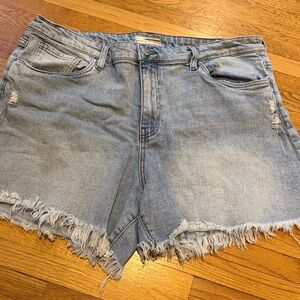 Kut from the Kloth Light Blue Denim Shorts